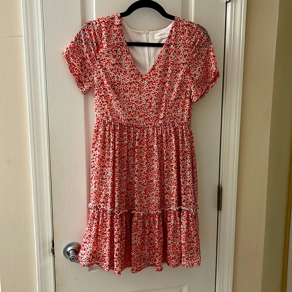 Pink Lily ruffle dress